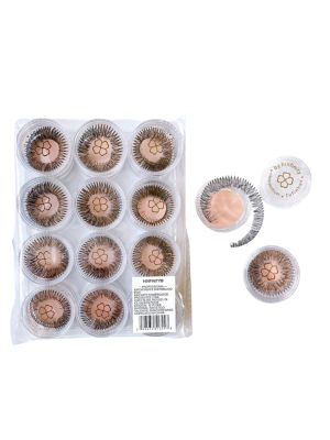 12 TUFINHO DE CILIOS COM NO POTE 10MM KIT